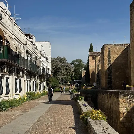 Appartement Algafequi Con Terraza Privada