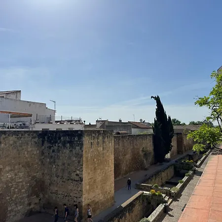 Algafequi Con Terraza Privada Córdoba