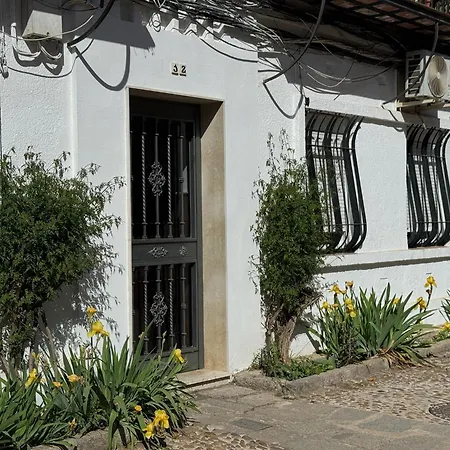 Algafequi Con Terraza Privada Appartement