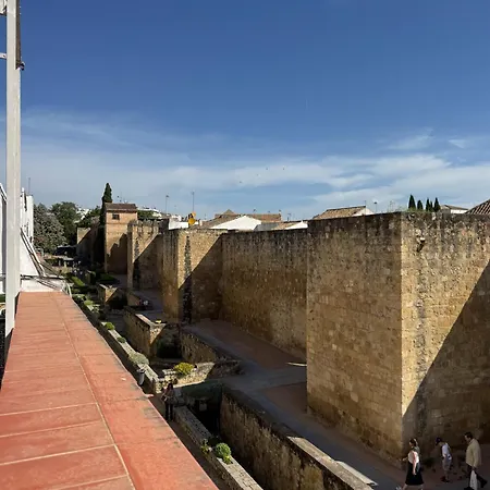Algafequi Con Terraza Privada Córdoba
