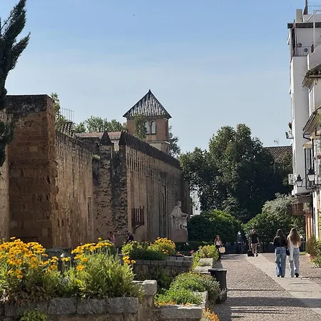 Appartement Algafequi Con Terraza Privada Córdoba