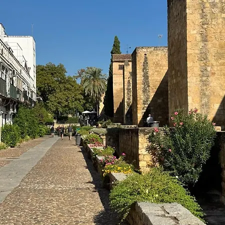 Apartment Algafequi Con Terraza Privada *