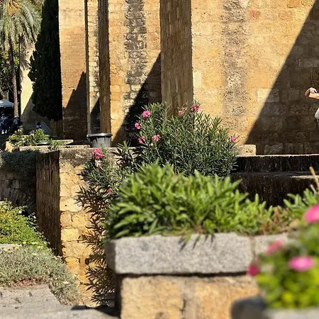 Apartment Algafequi Con Terraza Privada *