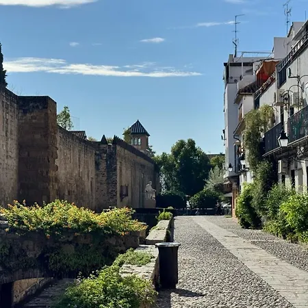 Algafequi Con Terraza Privada Apartment Córdoba